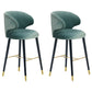 Glam Backrest Bar Stool Upholstered Counter Stool for Bristol with Wooden Legs Gray-Blue 2 Piece Set Clearhalo 'Bar Furniture' 'Bar Stools' 'bar_stools' 'furn' 'furn_bar_stools' 'Furniture' 'Kitchen & Dining Furniture' 6794571