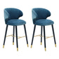 Glam Backrest Bar Stool Upholstered Counter Stool for Bristol with Wooden Legs Dark Blue 2 Piece Set Clearhalo 'Bar Furniture' 'Bar Stools' 'bar_stools' 'furn' 'furn_bar_stools' 'Furniture' 'Kitchen & Dining Furniture' 6794576