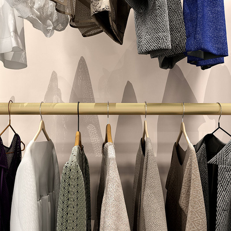 Eigentijdse hal boom metaal ingelijst 2 hangende rail ingang jashanger