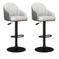 Industrial Backrest Bar Stool Adjustable Counter Stool for Hone Black Gray 2 Piece Set Clearhalo 'Bar Furniture' 'Bar Stools' 'bar_stools' 'furn' 'furn_bar_stools' 'Furniture' 'Kitchen & Dining Furniture' 6813329