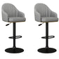 Industrial Backrest Bar Stool Adjustable Counter Stool for Hone Black Dark Gray 2 Piece Set Clearhalo 'Bar Furniture' 'Bar Stools' 'bar_stools' 'furn' 'furn_bar_stools' 'Furniture' 'Kitchen & Dining Furniture' 6813351