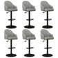Industrial Backrest Bar Stool Adjustable Counter Stool for Hone Black Dark Gray 6 Piece Set Clearhalo 'Bar Furniture' 'Bar Stools' 'bar_stools' 'furn' 'furn_bar_stools' 'Furniture' 'Kitchen & Dining Furniture' 6813353