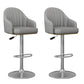 Industrial Backrest Bar Stool Adjustable Counter Stool for Hone Silver Dark Gray 2 Piece Set Clearhalo 'Bar Furniture' 'Bar Stools' 'bar_stools' 'furn' 'furn_bar_stools' 'Furniture' 'Kitchen & Dining Furniture' 6813381