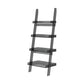 Ladder Open Back Bookshelf Acrylic Shelves Included Bookcase
