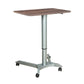 Rectangular Shaped Standing Desk Multiple Color Writing Desks for Office