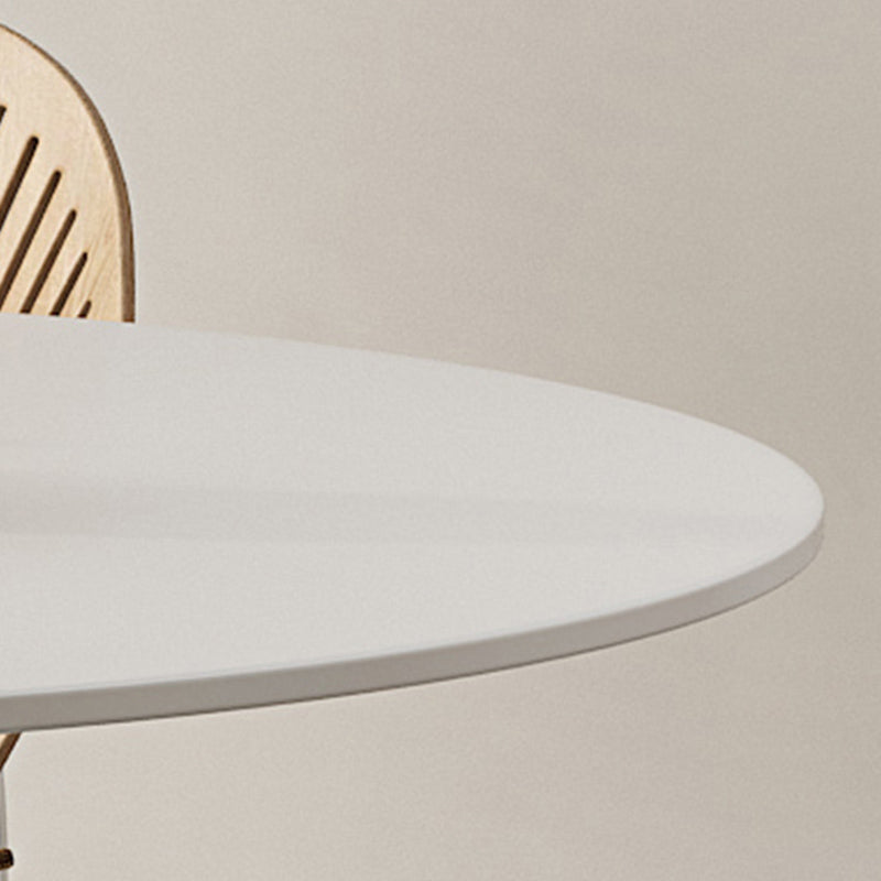 Modern 1/3/4/5 Pieces Dining Set Round Stone Dining Table for Kitchen Clearhalo 'Dining Room Sets' 'Dining Tables & Seating' 'dining_room_set' 'furn' 'furn_dining_room_set' 'Furniture' 'Kitchen & Dining Furniture' 6826030