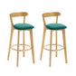Industrial Backrest Armless Counter Stool Rubber Wood Bar Stool with Cushion for Cafe Mint Green 2 Piece Set Clearhalo 'Bar Furniture' 'Bar Stools' 'bar_stools' 'furn' 'furn_bar_stools' 'Furniture' 'Kitchen & Dining Furniture' 6832803