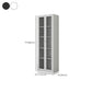 Scandinavian Standard Bookshelf Metal Closed Back Bookcase with Doors Clearhalo 'Bookcases' 'furn' 'furn_bookcases' 'Furniture' 'Office Furniture' 6839771