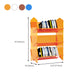 Scandinavian Acrylic Bookcase  Standard Closed Back Bookshelf with Shelves