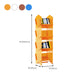 Scandinavian Acrylic Bookcase  Standard Closed Back Bookshelf with Shelves