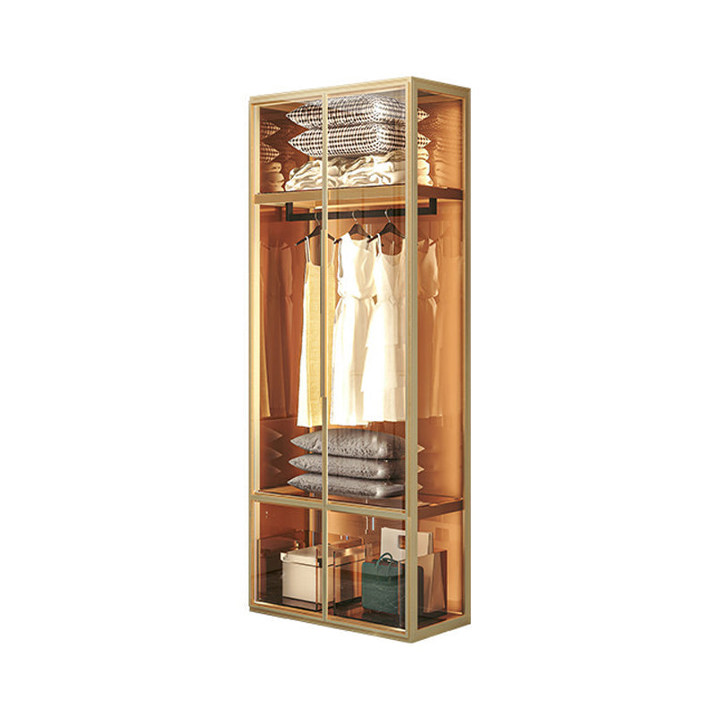 Metal Storage Cabinet with Glass Doors Contemporary Hinged Door Cabinet 31.5"L x 20"W x 79"H Clearhalo 'Armoires & Wardrobes' 'armoires_wardrobes' 'Bedroom Furniture' 'furn' 'furn_armoires_wardrobes' 'Furniture' 6852561
