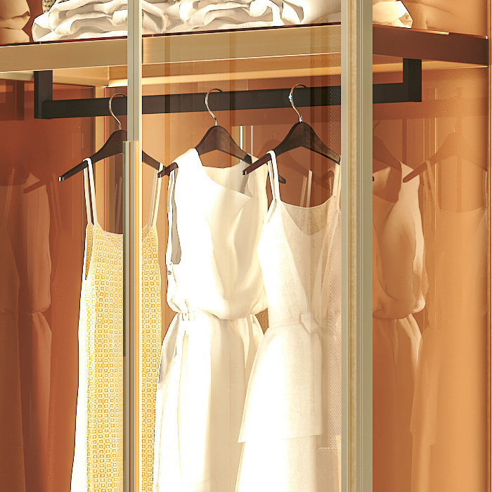 Metal Storage Cabinet with Glass Doors Contemporary Hinged Door Cabinet Clearhalo 'Armoires & Wardrobes' 'armoires_wardrobes' 'Bedroom Furniture' 'furn' 'furn_armoires_wardrobes' 'Furniture' 6852567