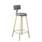 Glam Armless Counter Stool Iron Cafe Bar Stool with Cushion and Pedal