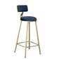 Glam Armless Counter Stool Iron Cafe Bar Stool with Cushion and Pedal