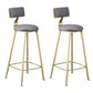 Glam Armless Counter Stool Iron Cafe Bar Stool with Cushion and Pedal