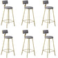 Glam Armless Counter Stool Iron Cafe Bar Stool with Cushion and Pedal