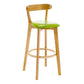 Industrial Backrest Counter Stool Rubber Wood Cafe Bar Stool with Cushion and Pedal Green 1 Piece Clearhalo 'Bar Furniture' 'Bar Stools' 'bar_stools' 'furn' 'furn_bar_stools' 'Furniture' 'Kitchen & Dining Furniture' 6853631