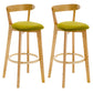 Industrial Backrest Counter Stool Rubber Wood Cafe Bar Stool with Cushion and Pedal Light Green 2 Piece Set Clearhalo 'Bar Furniture' 'Bar Stools' 'bar_stools' 'furn' 'furn_bar_stools' 'Furniture' 'Kitchen & Dining Furniture' 6853637