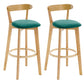 Industrial Backrest Counter Stool Rubber Wood Cafe Bar Stool with Cushion and Pedal Mint Green 2 Piece Set Clearhalo 'Bar Furniture' 'Bar Stools' 'bar_stools' 'furn' 'furn_bar_stools' 'Furniture' 'Kitchen & Dining Furniture' 6853639