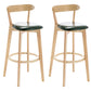 Industrial Backrest Counter Stool Rubber Wood Cafe Bar Stool with Cushion and Pedal Blackish Green 2 Piece Set Clearhalo 'Bar Furniture' 'Bar Stools' 'bar_stools' 'furn' 'furn_bar_stools' 'Furniture' 'Kitchen & Dining Furniture' 6853645