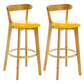 Industrial Backrest Counter Stool Rubber Wood Cafe Bar Stool with Cushion and Pedal Ginger 2 Piece Set Clearhalo 'Bar Furniture' 'Bar Stools' 'bar_stools' 'furn' 'furn_bar_stools' 'Furniture' 'Kitchen & Dining Furniture' 6853653