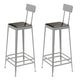 Glam Backrest Armless Counter Stool Iron Bar Stool with Cushion and Pedal for Cafe Silver 2 Piece Set Bar Stool(30"H) Clearhalo 'Bar Furniture' 'Bar Stools' 'bar_stools' 'furn' 'furn_bar_stools' 'Furniture' 'Kitchen & Dining Furniture' 6856878