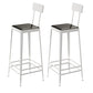 Glam Backrest Armless Counter Stool Iron Bar Stool with Cushion and Pedal for Cafe White 2 Piece Set Bar Stool(30"H) Clearhalo 'Bar Furniture' 'Bar Stools' 'bar_stools' 'furn' 'furn_bar_stools' 'Furniture' 'Kitchen & Dining Furniture' 6856886