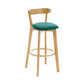 Industrial Backrest Armless Counter Stool Wood Cafe Bar Stool with Cushion and Pedal
