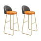 Glam Counter Bar Stool Low Back Counter Height Stools for Restaurant Gold 2 Piece Set Clearhalo 'Bar Furniture' 'Bar Stools' 'bar_stools' 'furn' 'furn_bar_stools' 'Furniture' 'Kitchen & Dining Furniture' 6870313