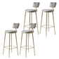Glam Backrest Counter Stool Iron Bar Stool with Cushion and Pedal for Milk Tea Shop