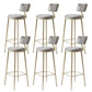 Glam Backrest Counter Stool Iron Bar Stool with Cushion and Pedal for Milk Tea Shop