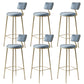 Glam Backrest Counter Stool Iron Bar Stool with Cushion and Pedal for Milk Tea Shop