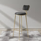 Glam Backrest Counter Stool Iron Bar Stool with Cushion and Pedal for Milk Tea Shop