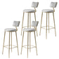 Glam Backrest Counter Stool Iron Bar Stool with Cushion and Pedal for Milk Tea Shop