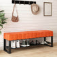 Metal Entryway Bench Modern Seating Bench with Shoe Storage , 13.65-inch W 39.5"L x 14"W x 18"H Orange Clearhalo 'Benches' 'Chairs & Seating' 'furn' 'furn_benches' 'Furniture' 'Living Room Furniture' 6880519
