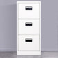 Modern Metal File Cabinet Pure Color Filing Cabinet for Home Office Clearhalo 'Filing Cabinets' 'filling_cabinets' 'furn' 'furn_filling_cabinets' 'Furniture' 'Office Furniture' 6880976