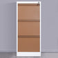 Modern Metal File Cabinet Pure Color Filing Cabinet for Home Office Khaki 3 Clearhalo 'Filing Cabinets' 'filling_cabinets' 'furn' 'furn_filling_cabinets' 'Furniture' 'Office Furniture' 6880980