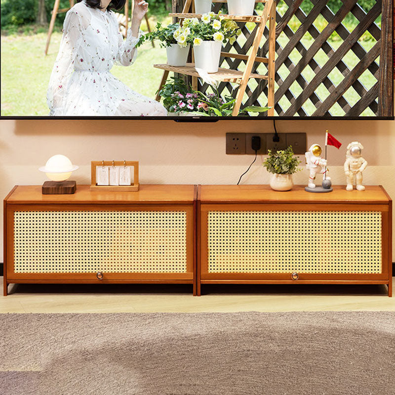 Enclosed Storage TV Console Scandinavian TV Media Console for Living Room Clearhalo 'furn' 'furn_tv_stands_entertainment_centers' 'Furniture' 'Living Room Furniture' 'TV Stands & Entertainment Centers' 'TV Stands & Media Storage Furniture' 'tv_stands_entertainment_centers' 6890363