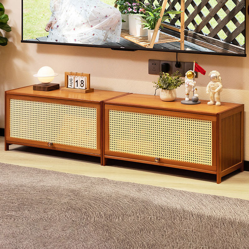 Enclosed Storage TV Console Scandinavian TV Media Console for Living Room Clearhalo 'furn' 'furn_tv_stands_entertainment_centers' 'Furniture' 'Living Room Furniture' 'TV Stands & Entertainment Centers' 'TV Stands & Media Storage Furniture' 'tv_stands_entertainment_centers' 6890376