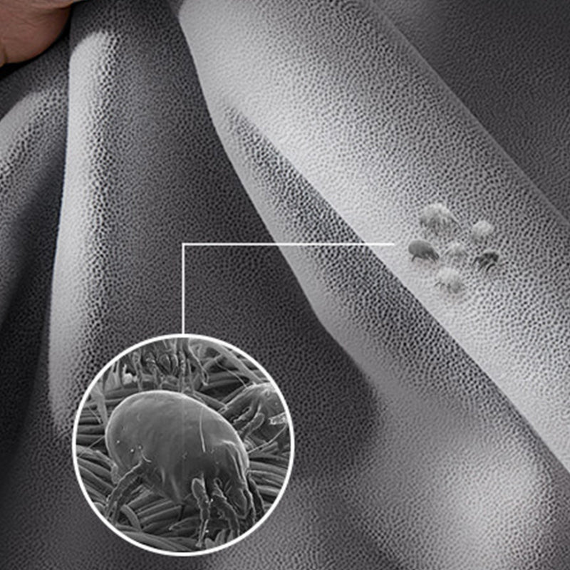 Divani convertibili contemporanei cuscino posteriore del divano letto per dormiente