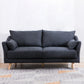 Modern Sofa with 2 Pillows Living Room Charles Of London Seating Dark Gray Clearhalo 'furn' 'furn_sofas' 'Furniture' 'Living Room Furniture' 'Sofa' 'sofas' 6906433