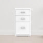 Contemporary File Cabinets Steel Frame Solid Color File Pedestal for Home Office Clearhalo 'Filing Cabinets' 'filling_cabinets' 'furn' 'furn_filling_cabinets' 'Furniture' 'Office Furniture' 6918363