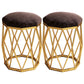 Solid Color Flannel Standard Stool Modern Simple Upholstered Stool Brown 2 Piece Set Clearhalo 'furn' 'furn_ottomans_poufs' 'Furniture' 'Living Room Furniture' 'Ottomans & Poufs' 'ottomans_poufs' 6922154