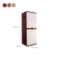 Plastic Matte Finish Storage Cabinet Modern Bedroom Hinged Door Cabinet