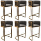 Glamstil Faux Leder Barstool Low Back Counter Barhocker für Küche