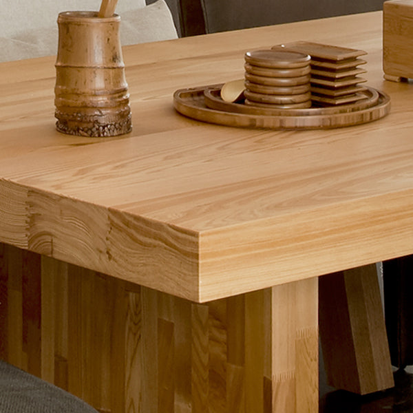 Modern Style Dining Table Rectangle Solid Wood Dining Table with Double Pedestal Clearhalo 'Dining Tables & Seating' 'Dining Tables' 'dining_table' 'furn' 'furn_dining_table' 'Furniture' 'Kitchen & Dining Furniture' 6956829