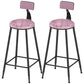 Industrial Counter and Bar Stool Armless Counter Height Stools for Bristol Black Pink 2 Piece Set Clearhalo 'Bar Furniture' 'Bar Stools' 'bar_stools' 'furn' 'furn_bar_stools' 'Furniture' 'Kitchen & Dining Furniture' 6961499