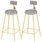 Industrial Counter and Bar Stool Armless Counter Height Stools for Bristol Gold Gray 2 Piece Set Clearhalo 'Bar Furniture' 'Bar Stools' 'bar_stools' 'furn' 'furn_bar_stools' 'Furniture' 'Kitchen & Dining Furniture' 6961512
