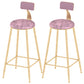 Industrial Counter and Bar Stool Armless Counter Height Stools for Bristol Gold Pink 2 Piece Set Clearhalo 'Bar Furniture' 'Bar Stools' 'bar_stools' 'furn' 'furn_bar_stools' 'Furniture' 'Kitchen & Dining Furniture' 6961516