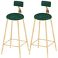 Industrial Counter and Bar Stool Armless Counter Height Stools for Bristol Gold Green 2 Piece Set Clearhalo 'Bar Furniture' 'Bar Stools' 'bar_stools' 'furn' 'furn_bar_stools' 'Furniture' 'Kitchen & Dining Furniture' 6961520
